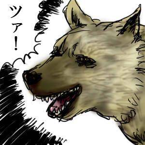 ツァ！