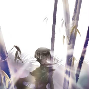 竹影