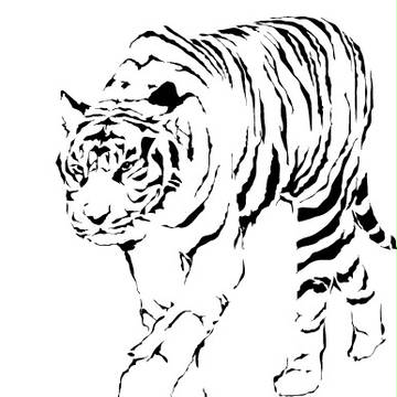 虎