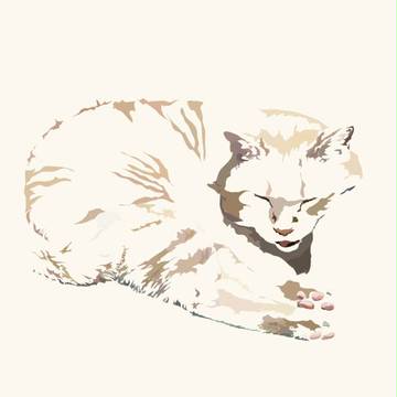 猫