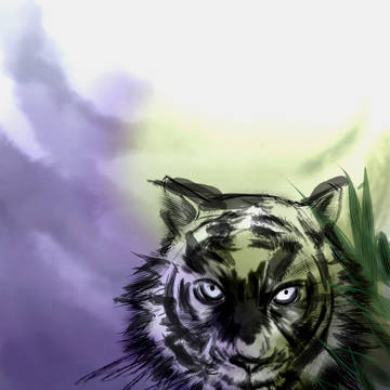 猛虎