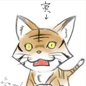 猫虎