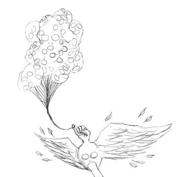 空も飛べるはず