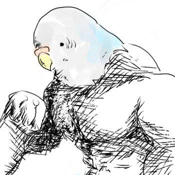 我が家の青色