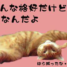 はるちゃん
