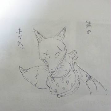 謎のキツネ