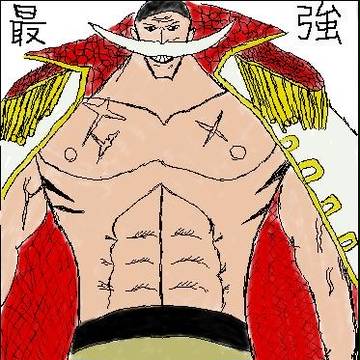 白ひげ「俺の愛する息子は無事なんだろうなぁ！」