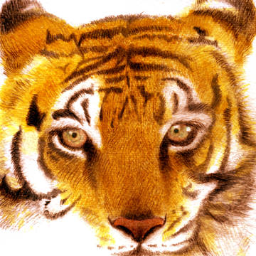 2010年賀