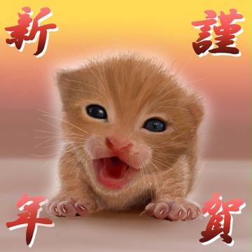 あけましたおめでとうございます