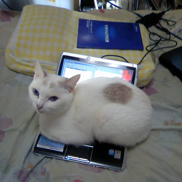 netbook