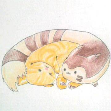 オオタチと猫
