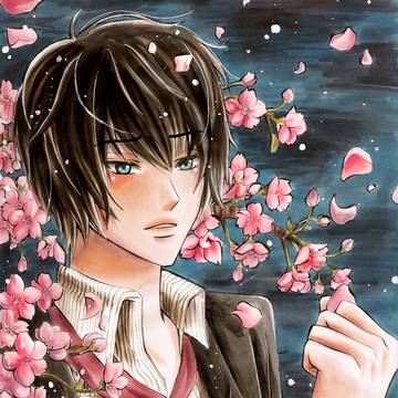 Sakura addiction