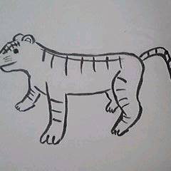 虎