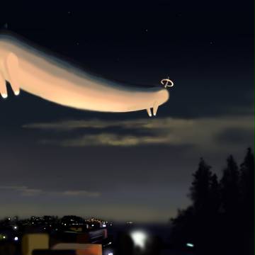 夜空の長いさん。