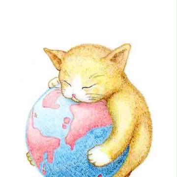 猫