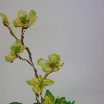 花の涙