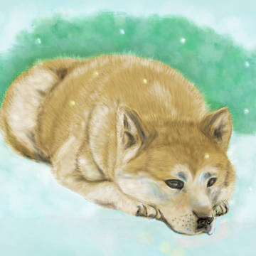 もう彼は戻ってこないんだよ｡･ﾟ･（ﾉー`）･ﾟ･｡