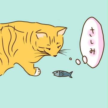 今晩のおかず