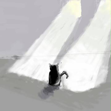 陽射し