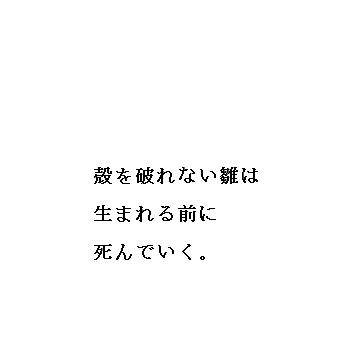 【中立兄妹】殻を破れない雛は【極東兄弟】