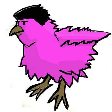 毛羽立った