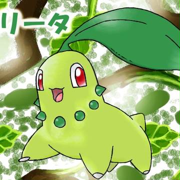 チコリータ