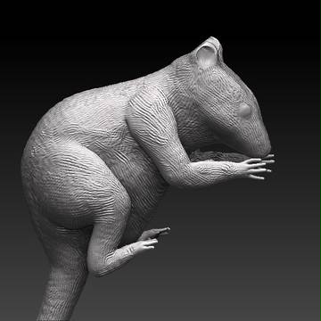 3D リスさん制作開始・・