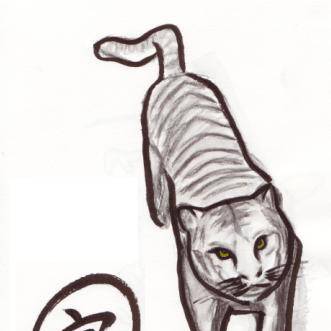 2010年賀状用その1