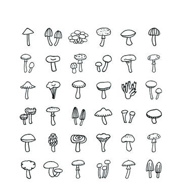 きのこはがき