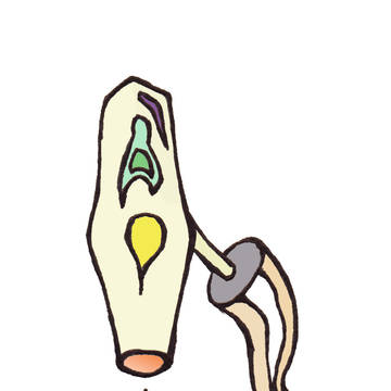 Hideous monster