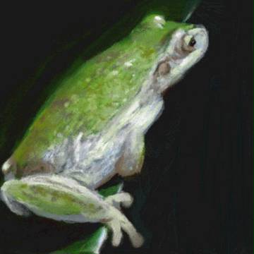 絵心教室で描いたもの　かえる