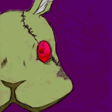 兎の生首です