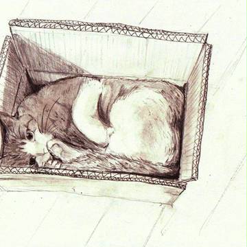 ダンボール。。。ねこ。（セピア）