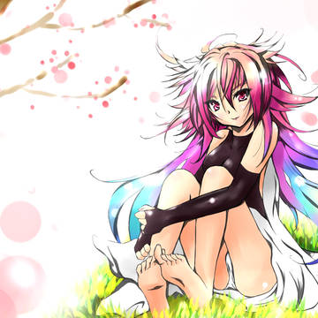 梅の花