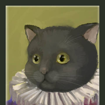 贵族猫