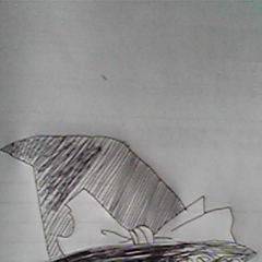 ゆっくり魔理沙
