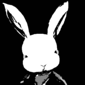 rabbit