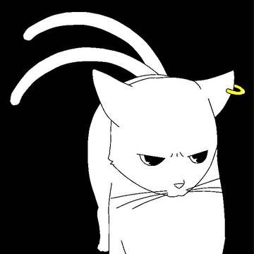 白猫