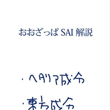 【初心者向け】大雑把なSAI解説