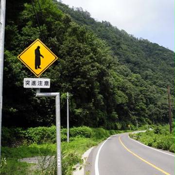 突進注意