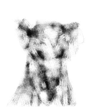 犬