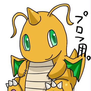 プロフ用カイリュー