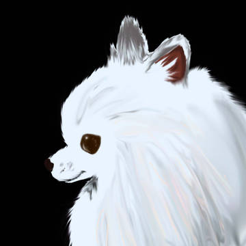 らくがき