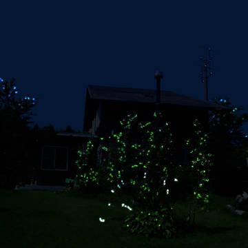 夢で見た風景「陸棲夜光虫」