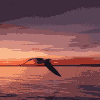 版画的な鳥