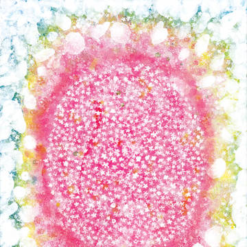 桜飴。
