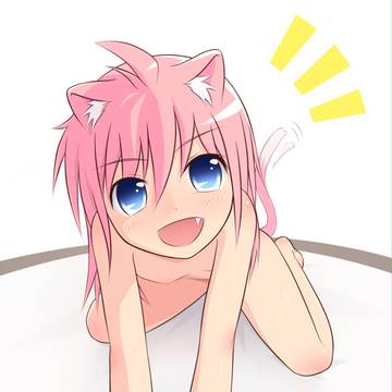 猫耳