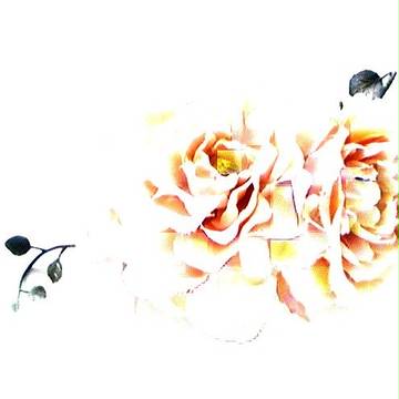 a flower