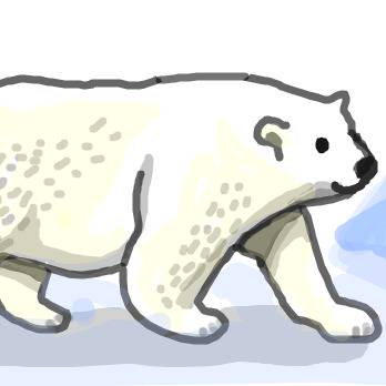 しろくま