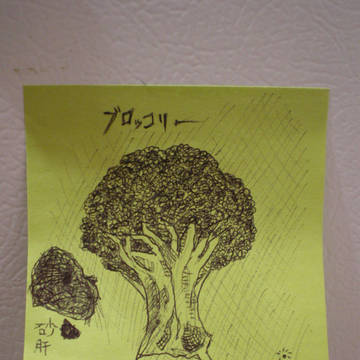 ブロッコリー